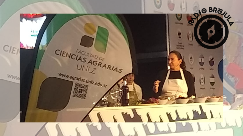 Imagen Principal (1)